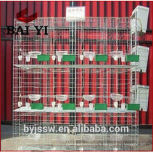 Pigeon cages pigeon élevage cages design
